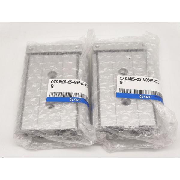 2点セット 新品 SMC CXSJM25-25-M9BW-XC19